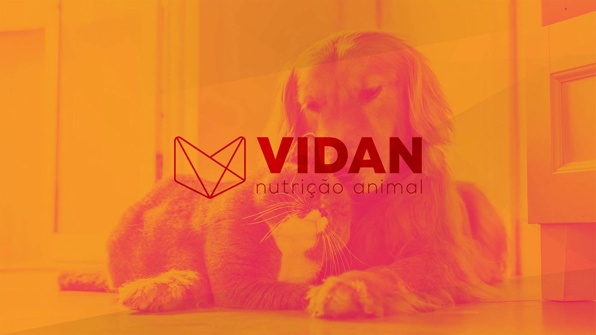 Vidan – Nutrição Animal